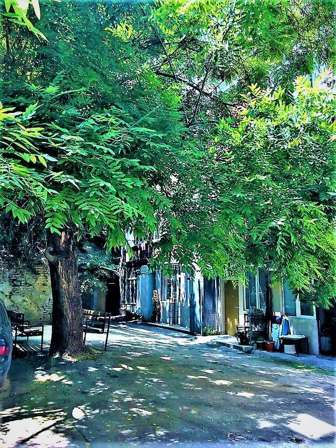 Very Center Of The Old City-Stylish Apartment Tbilisi Ngoại thất bức ảnh